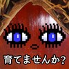 莓果糖